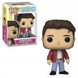 FUNKO POP ROCKS NEW KIDS ON...