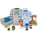 FUNKO BOX COLLECTORS DC LEGACY  *S*