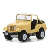 CARRO GREENLIGHT JULLIE ROGERS ESCALA 1/64 - AMARELO