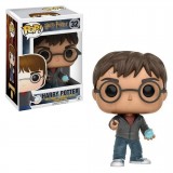 FUNKO POP HARRY POTTER - HARRY POTTER 32