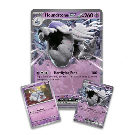 Cartas Pokmon Tcg: Houndstone Ex Box (2974)