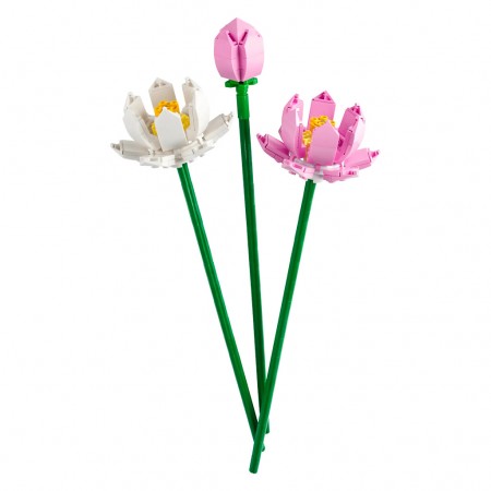 Lego Flor de Ltus 40647