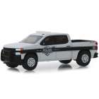 Carro Greenlight Hot Pursuit - Chevrolet Silverado Ssv 2019 - Escala 1/64 (42890-f)