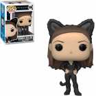 Funko Pop Friends - Monica Geller 1069