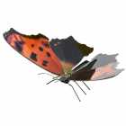 Miniatura de Montar Metal Earth - Eastern Comma