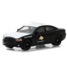 Carro Greenlight Dodge Charger Hot Pursuit - 2011 - Escala 1/64