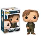 Funko Pop Harry Potter - Remus Lupin 45