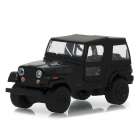 Carro Greenlight Jeep Cj-7 1976  - Escala 1/64